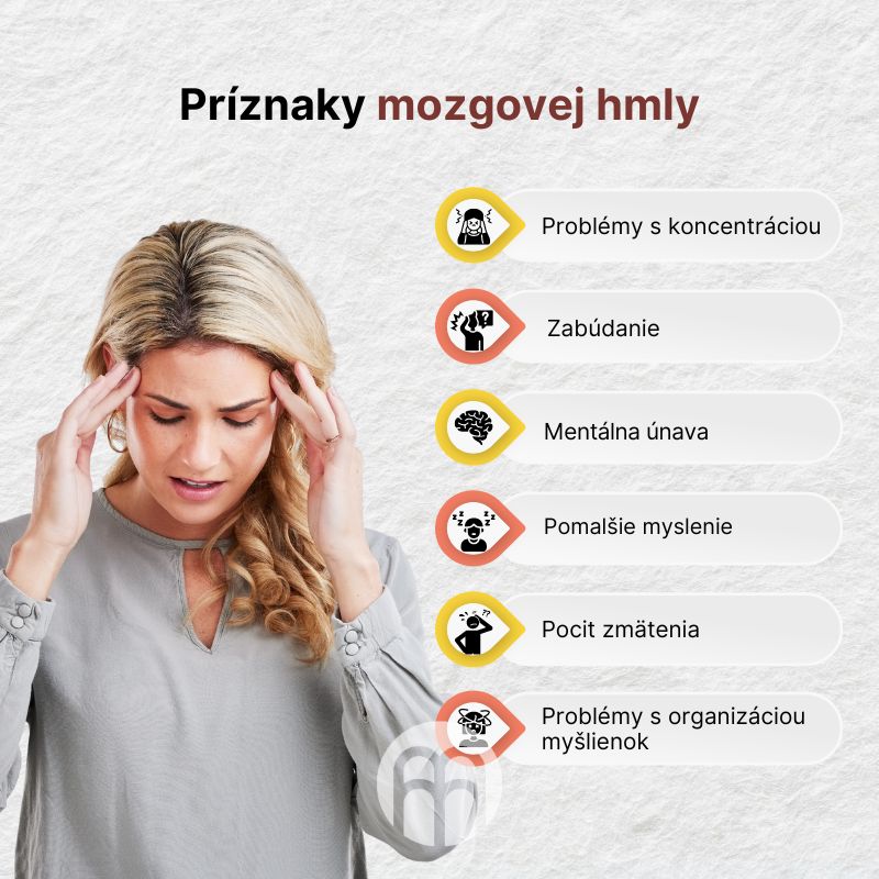(Slovenčina) Příznaky mozkové mlhy